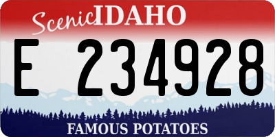 ID license plate E234928