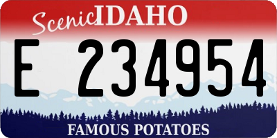 ID license plate E234954