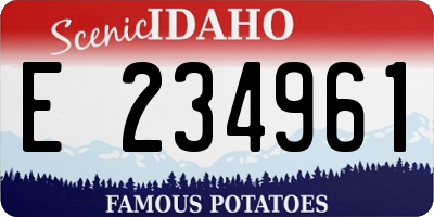ID license plate E234961