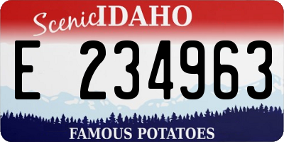 ID license plate E234963