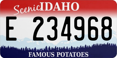 ID license plate E234968