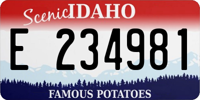 ID license plate E234981
