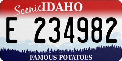 ID license plate E234982