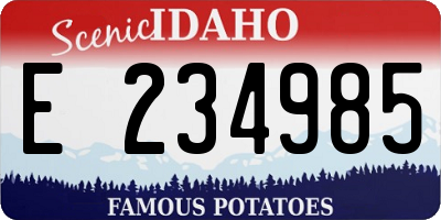 ID license plate E234985