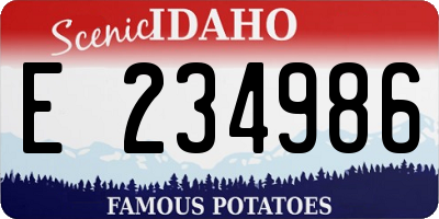 ID license plate E234986