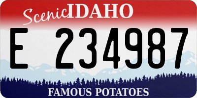 ID license plate E234987