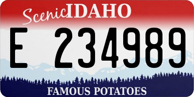 ID license plate E234989
