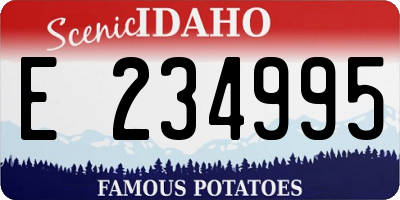 ID license plate E234995