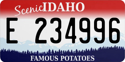 ID license plate E234996