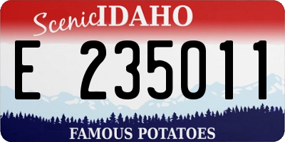 ID license plate E235011
