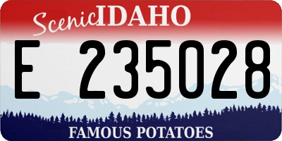 ID license plate E235028