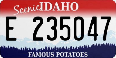 ID license plate E235047