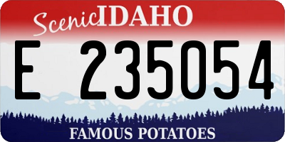 ID license plate E235054