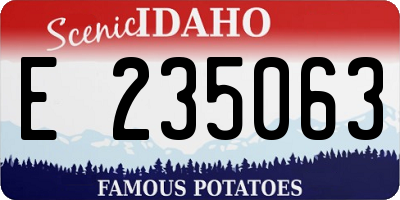 ID license plate E235063