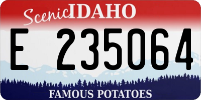 ID license plate E235064