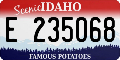 ID license plate E235068