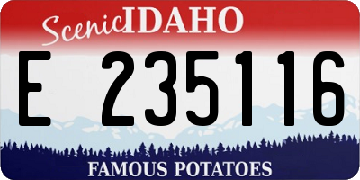 ID license plate E235116
