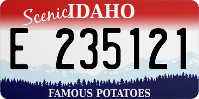 ID license plate E235121