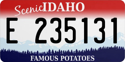ID license plate E235131
