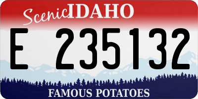 ID license plate E235132