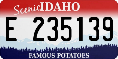 ID license plate E235139