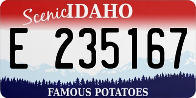 ID license plate E235167