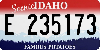 ID license plate E235173