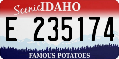 ID license plate E235174