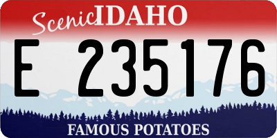 ID license plate E235176