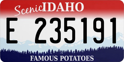 ID license plate E235191