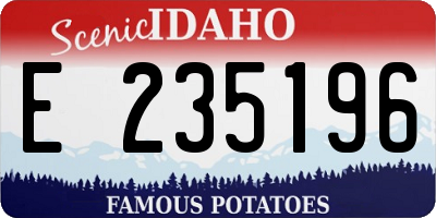 ID license plate E235196