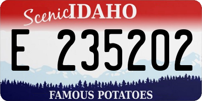 ID license plate E235202