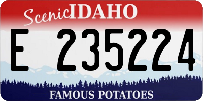 ID license plate E235224