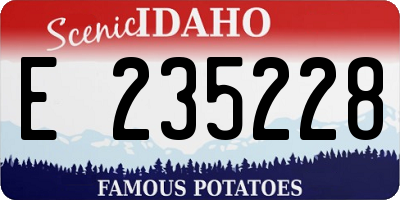 ID license plate E235228