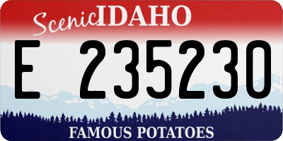 ID license plate E235230