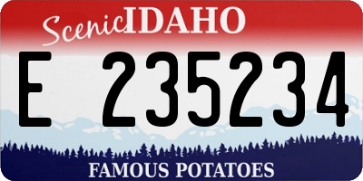 ID license plate E235234