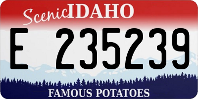 ID license plate E235239
