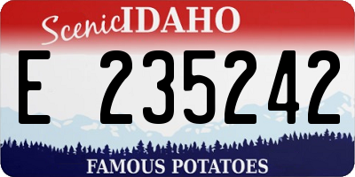 ID license plate E235242