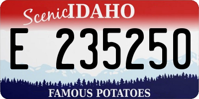 ID license plate E235250