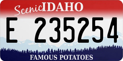 ID license plate E235254