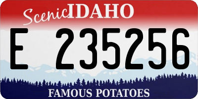 ID license plate E235256