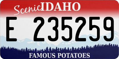 ID license plate E235259