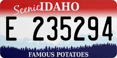 ID license plate E235294