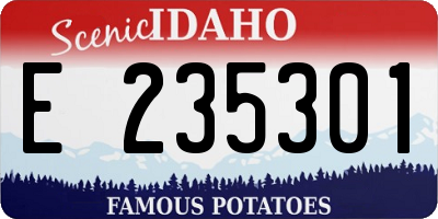 ID license plate E235301