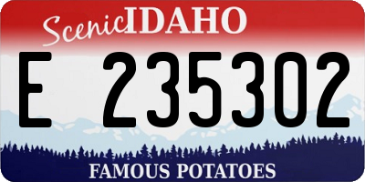 ID license plate E235302