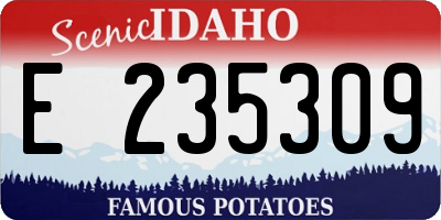 ID license plate E235309
