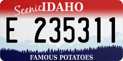 ID license plate E235311