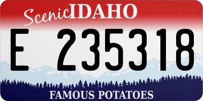 ID license plate E235318
