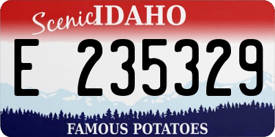 ID license plate E235329