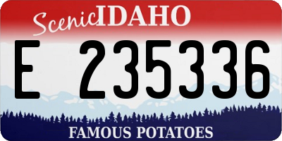 ID license plate E235336